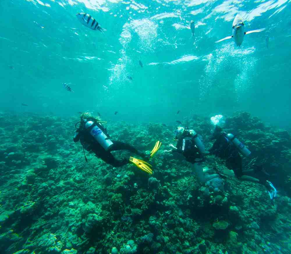 Scuba Diving Grand Islands South Goa